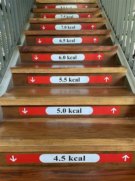 voorbeelden van nudging.